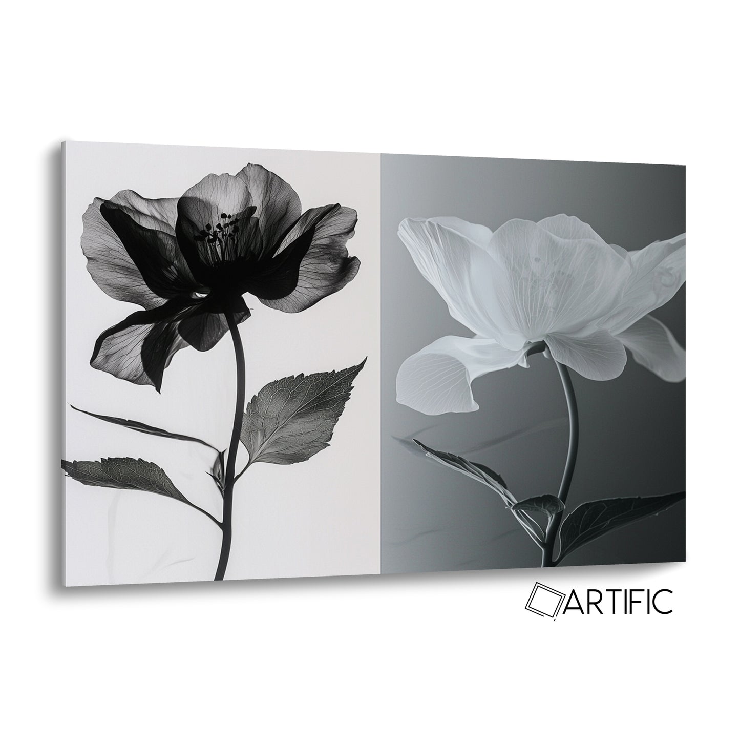 Elegancia Floral Monocromática