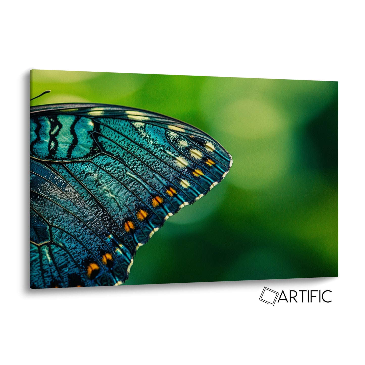 Ala de Mariposa Azul