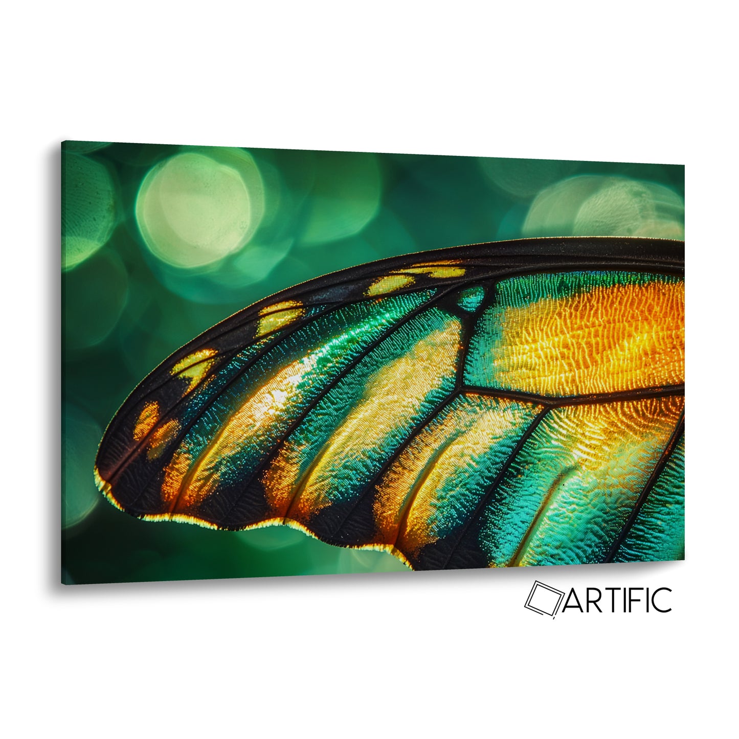 Mariposa Espectáculo