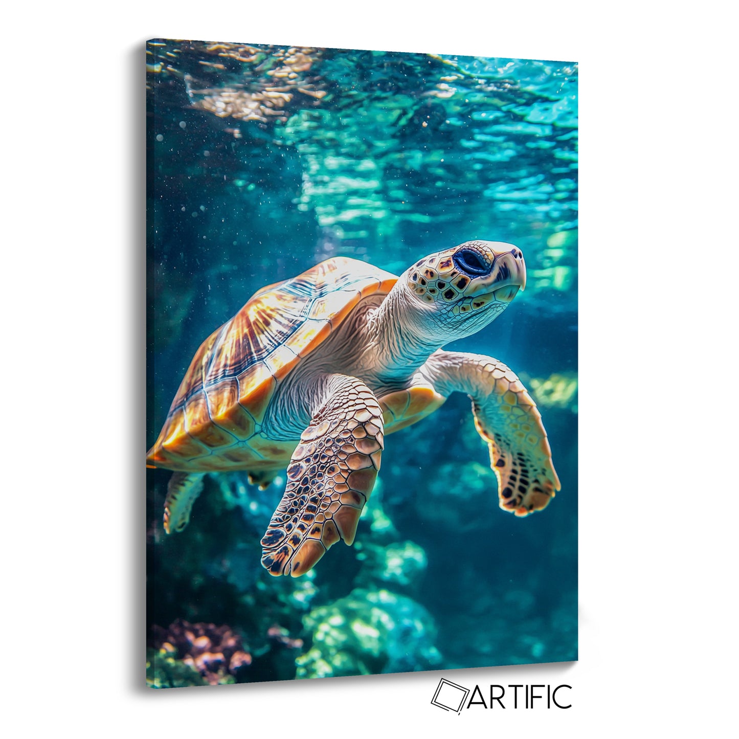 Tortuga Marina en Movimiento