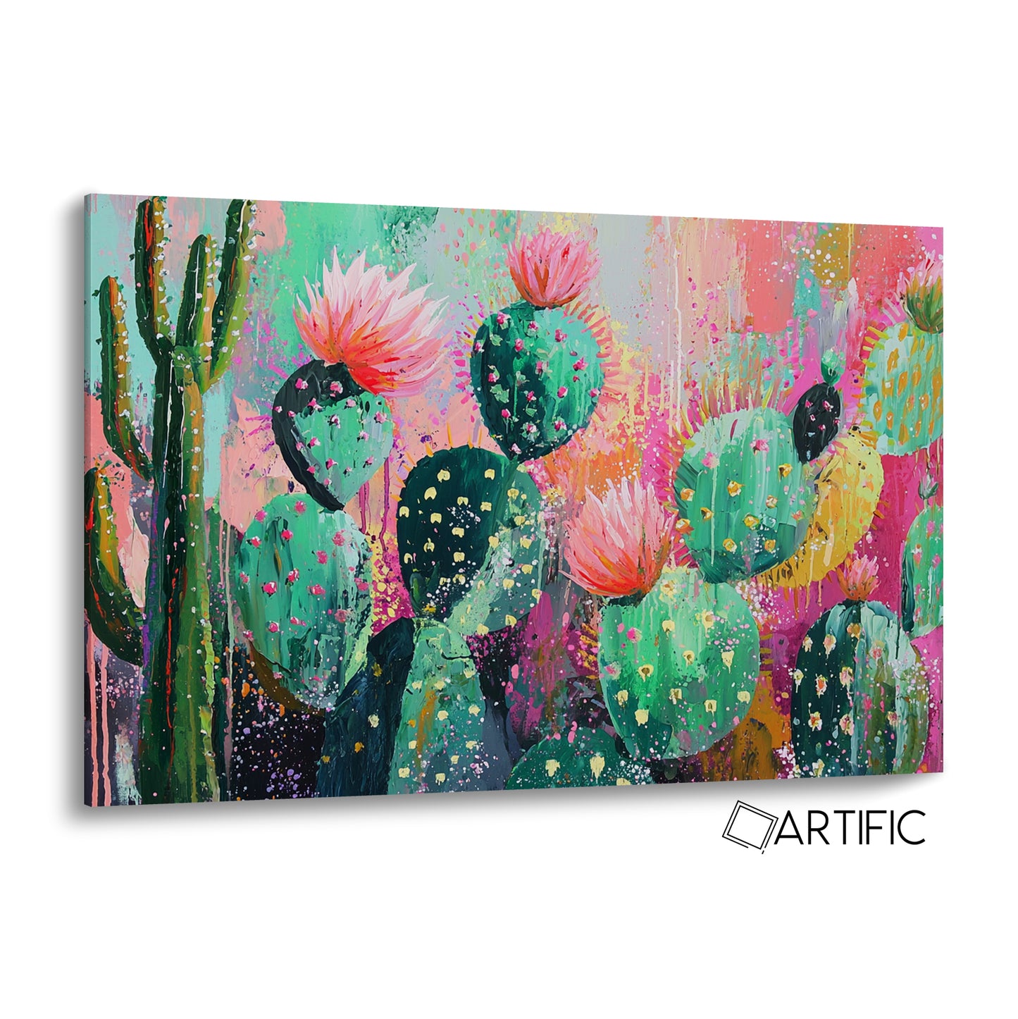 Cactus de Color