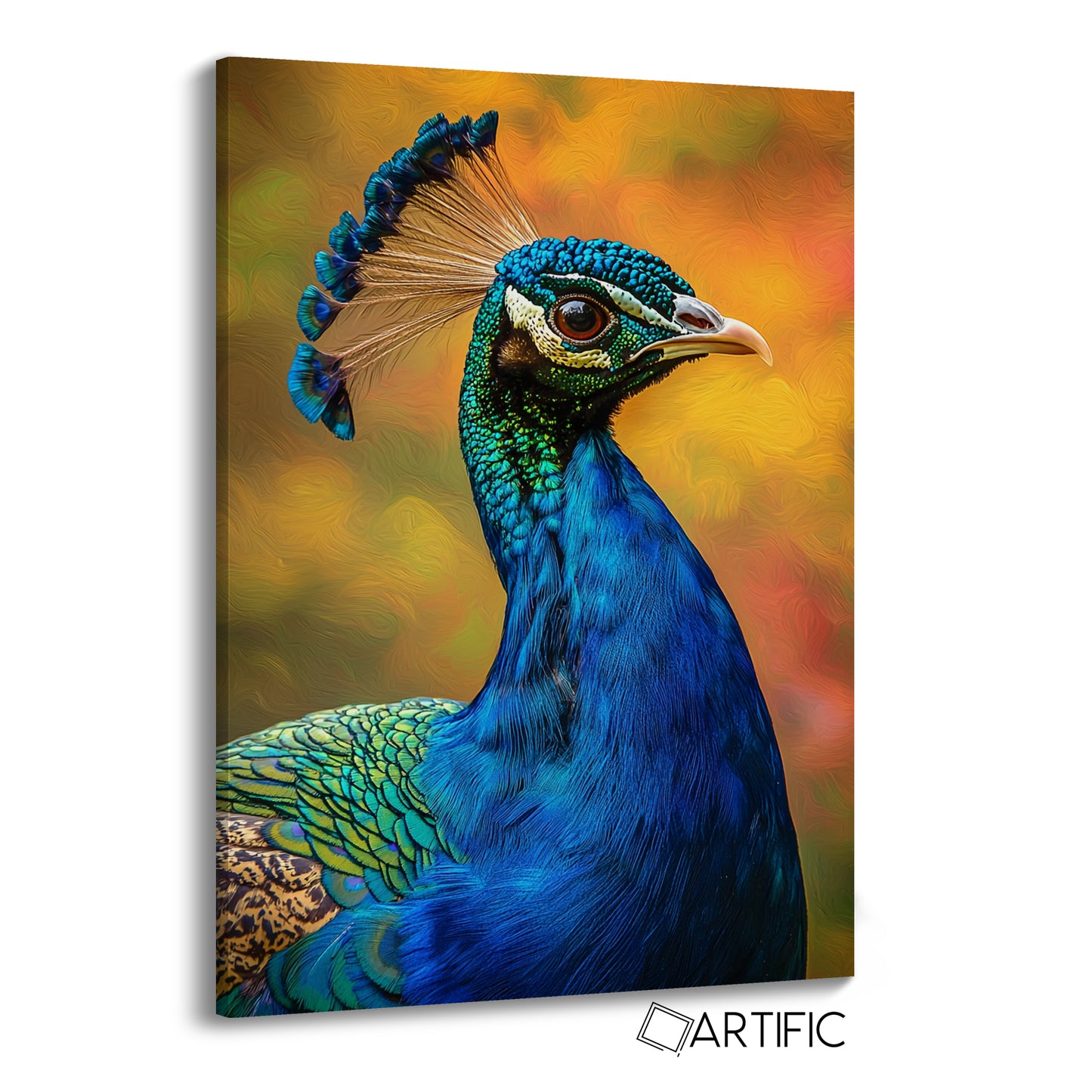 Elegancia de Pavo Real