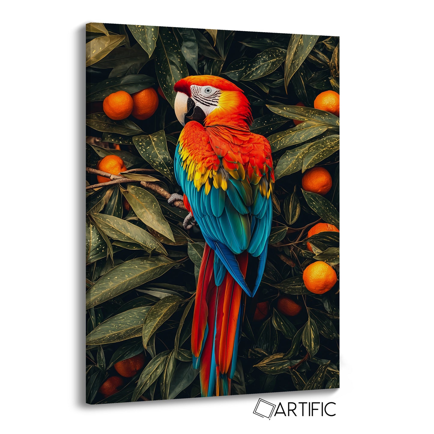 Guacamaya Colorida