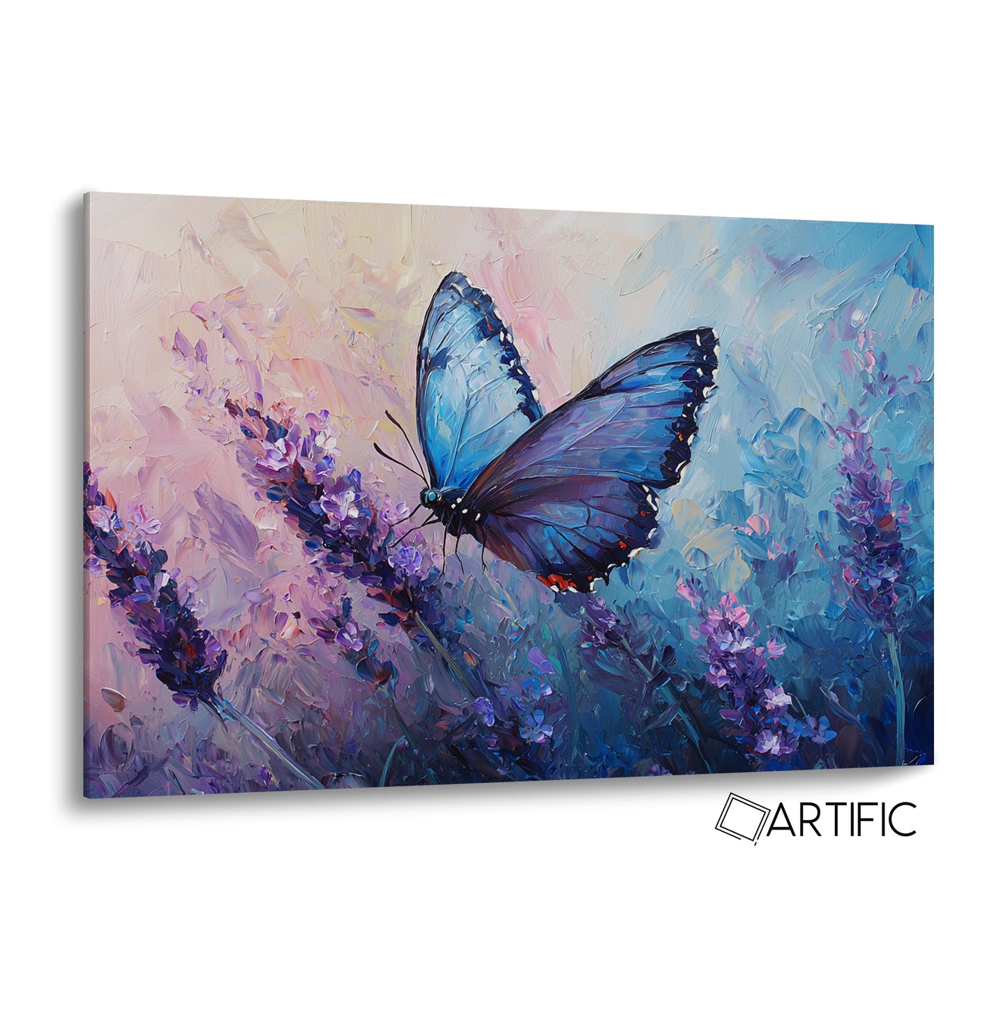 Elegancia de la Mariposa
