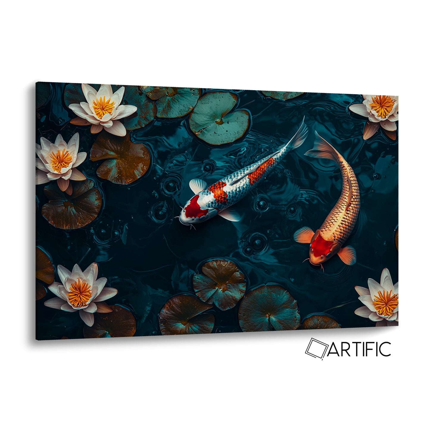 Arte de Kois en Agua