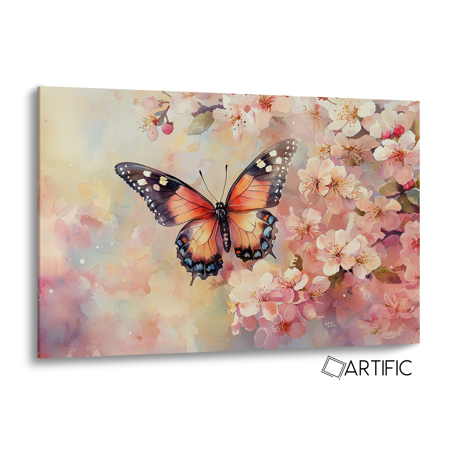 Belleza de Mariposa
