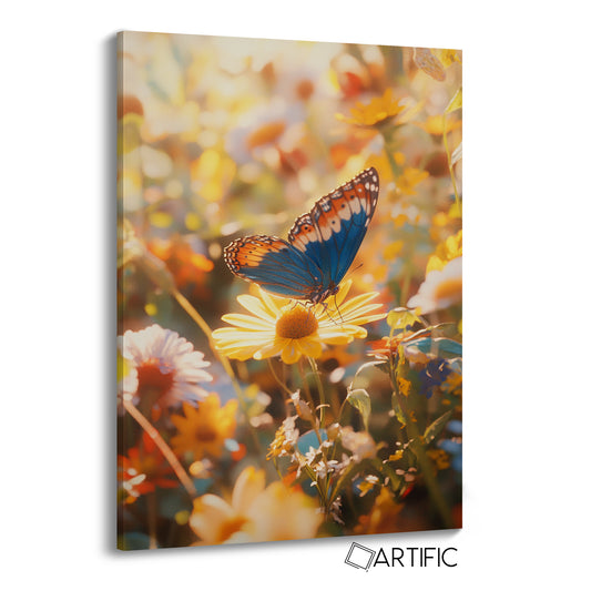 Belleza de Mariposa