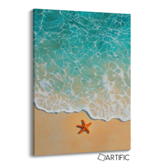 Estrella de Mar en Playa