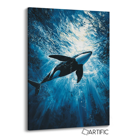 Nado de la Orca