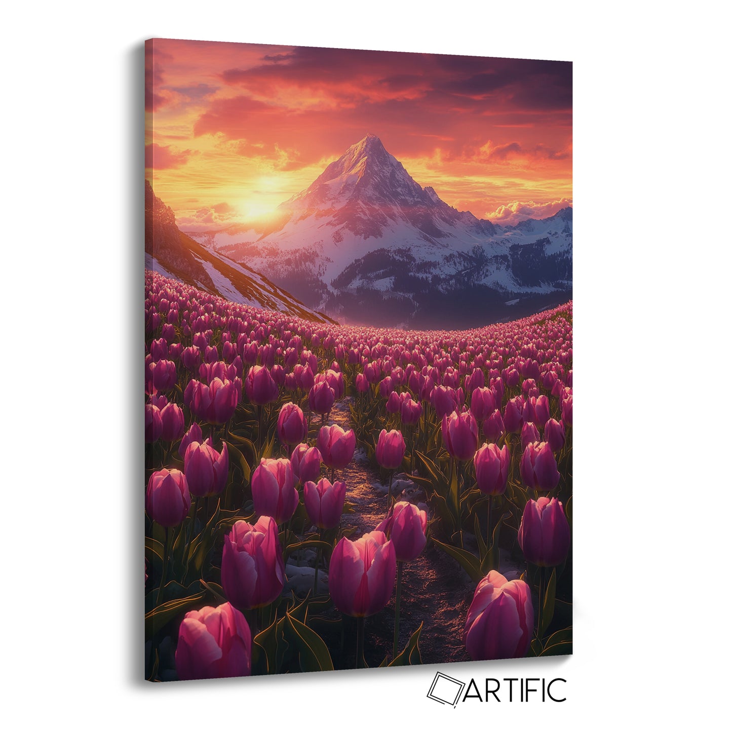 Paisaje de Tulipanes al Atardecer