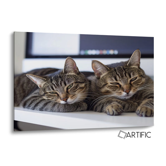 Dúo de Gatos Serenos