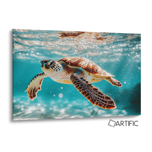 Elegante Tortuga Acuática