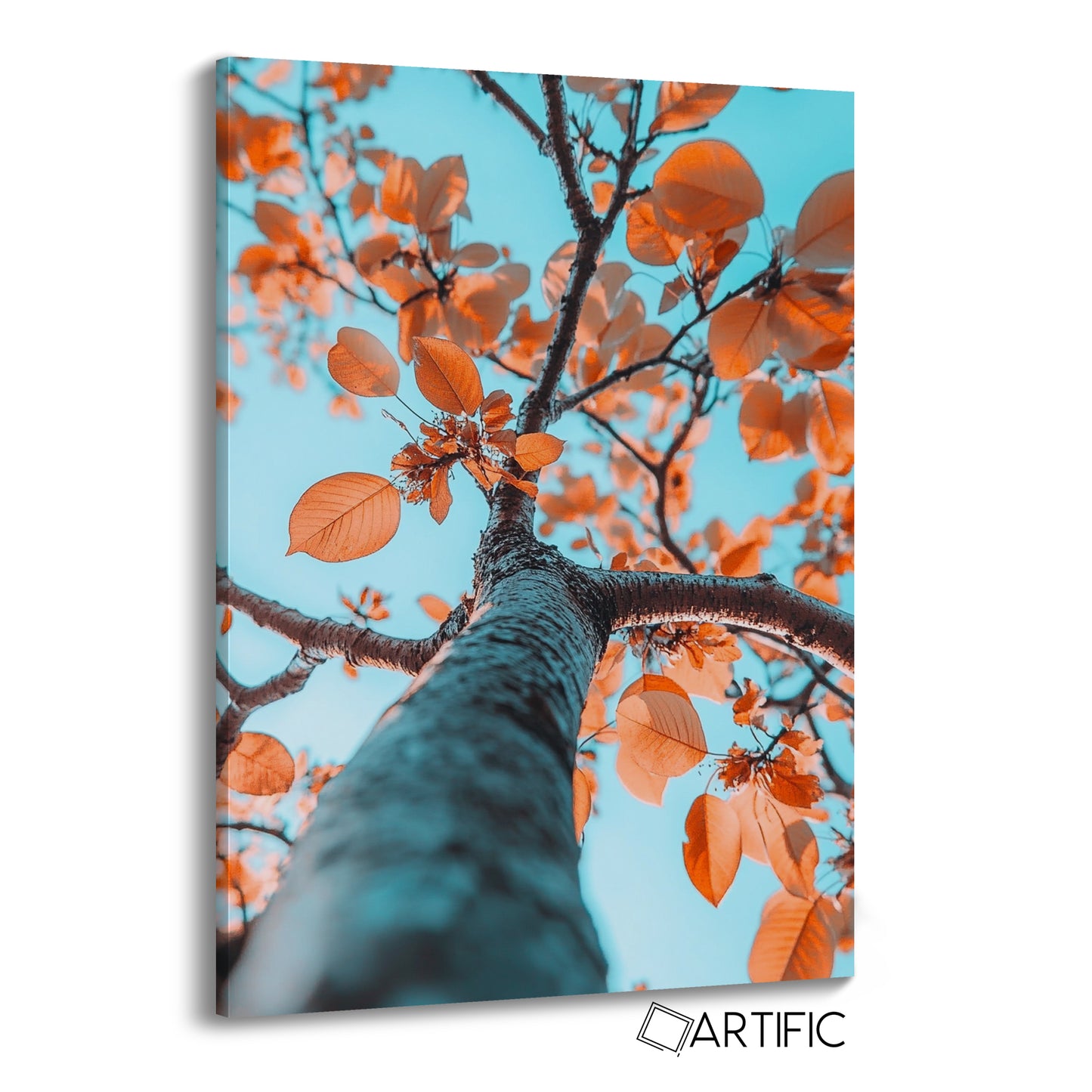 Perspectiva del Árbol Otoñal