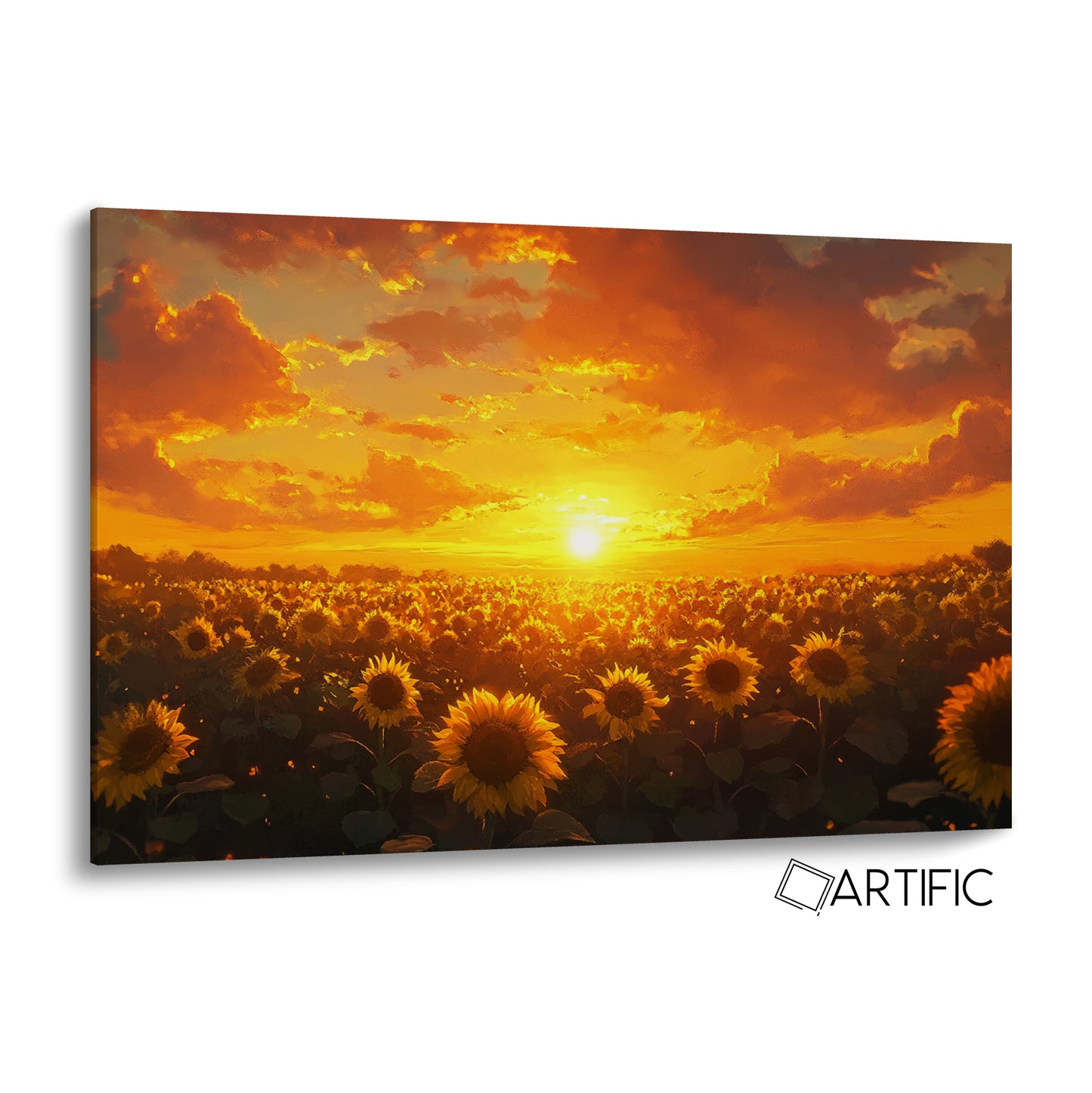 Atardecer de Girasoles