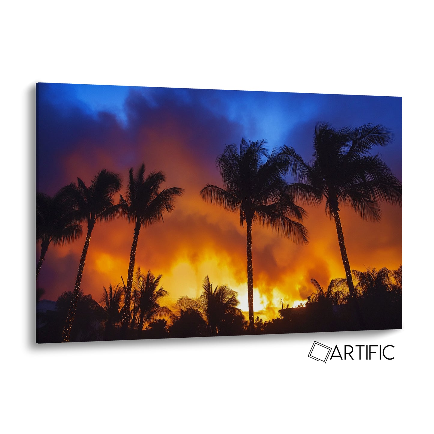 Palmeras al Atardecer