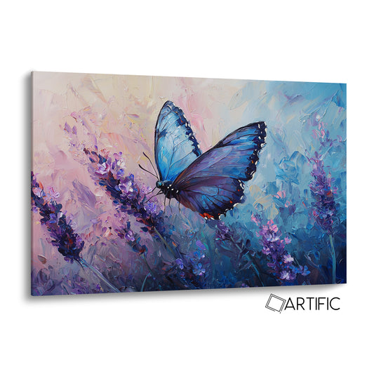 Elegancia de la Mariposa